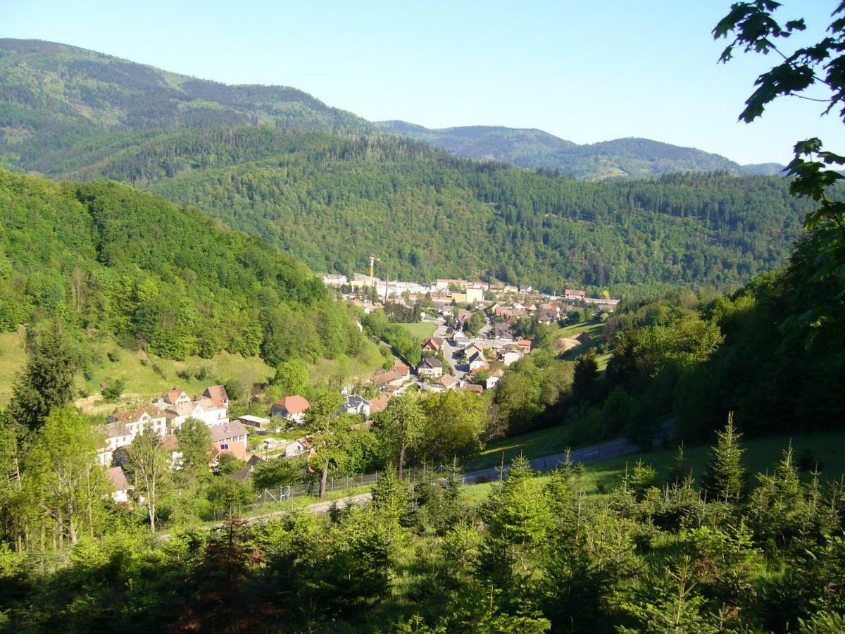 Le Tricotin Gite 2-4 Personnes Sainte-Marie-aux-Mines Exterior foto